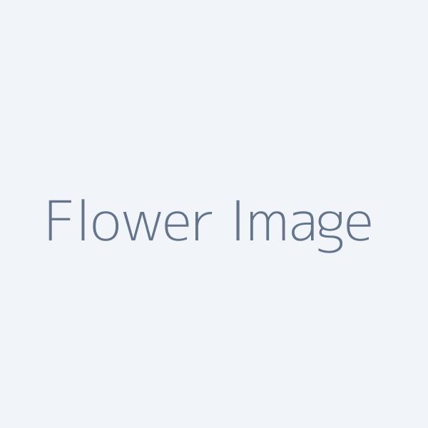 Beautiful Bouquet #103
