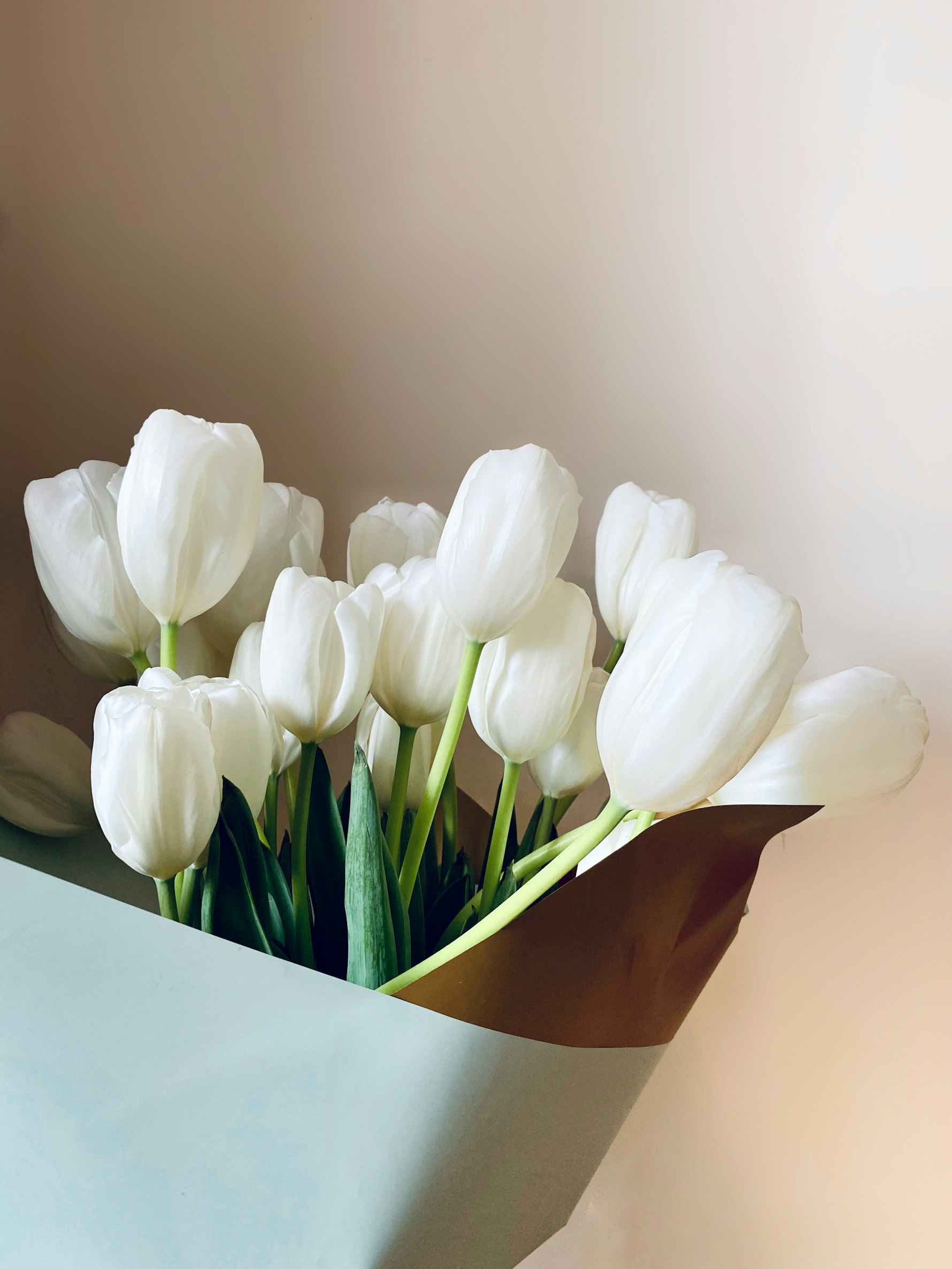 Tulip Medley